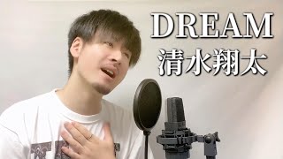 【キー下げ(-1)】清水翔太「DREAM」Covered by MAKO