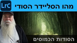 מהו סליידר הכמות הנסתר ואיך משתמשים בו בלייטרום קלאסיק