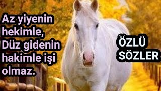 Dini Sözler🌹Etkileyici Sözler🌹 Anlamlı Sözler🌹Düşündüren Sözler🌹Durum Sözleri