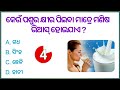 odia dhaga dhamali las questions clever questions and answers odia gk gk in odia gk part 3