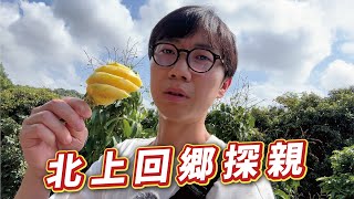 北上中山之陪阿媽回鄉探親｜品嘗地道神灣菠蘿