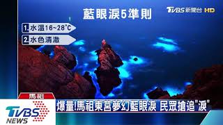 爆量！馬祖東莒夢幻藍眼淚　民眾搶追「淚」