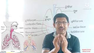 Lungs and Common Respiratory Diseases ( ফুসফুস ও সাধারন কয়েকটি শ্বাসপ্রশ্বাস ঘটিত রোগ )