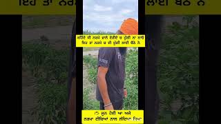 ਆਹ ਤਾਂ ਨਰਮੇ ਚ ਈ ਮੂੰਗੀ ਲਾਈ ਬੈਠੇ ਨੇ  #shorts #youtubeshorts #trending #agriculture #cotton #organic