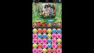 パズドラ　ガイア降臨　超級　パロット　無課金編成