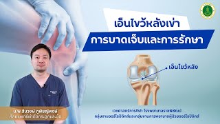 เอ็นไขว้หลัง*เข่า การบาดเจ็บและการรักษา | โรงพยาบาลราชพิพัฒน์