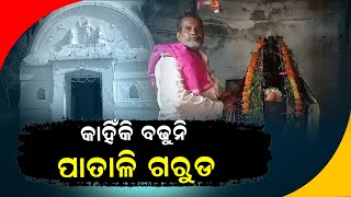 କାହିଁକି ବଢୁନି ପାତାଳି ଗରୁଡ