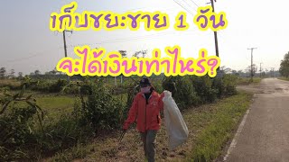 ลองเก็บขยะขาย1วันจะได้เงินเท่าไหร่?