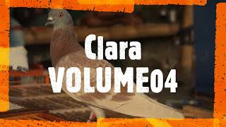 DUEL SENGIT CLARA-VOLUME 04 VS MARLBORO-PANGHEGAR (PHG) TAKULAN 600 BURUNG DI PVJ TOTAL 20 JUTA