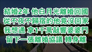 結婚2年 他白月光離婚回國從不夜不歸宿的他竟沒回家我想通 拿1千萬敲響婆婆門留下一張離婚協議 轉身離