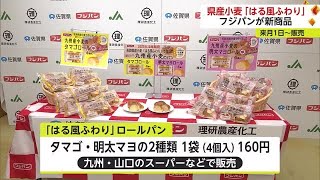 10月1日発売！もちもち食感 佐賀県産小麦「はる風ふわり」を100％使用したロールパン【佐賀県】 (23/09/27 18:09)