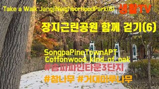 산책동영상_장지근린공원(6)_터널산주변_송파둘레길(WalkingVideo_JangjiNeighborhoodPark(6)_SongpaCircumferenceRoad)