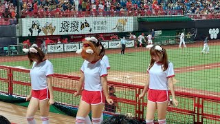 20230627 味全龍-閨蜜運動會 Dragon Beauties 中場舞 #cheerleader #baseball #cpbl #味全龍 #dragonbeauties #霖霖