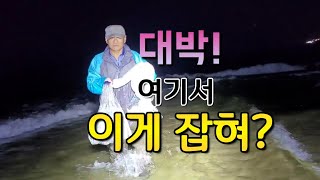 대박! 여기서 이게 잡혀? #바다투망 #야간투망 #차박여행 #Cast net fishing #sea fishing