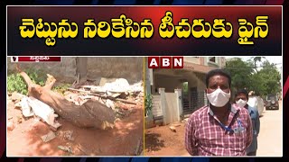 చెట్టును నరికేసిన టీచరుకు ఫైన్  || Siddipet Municipal Commissioner Imposed Fine to Teacher || ABN