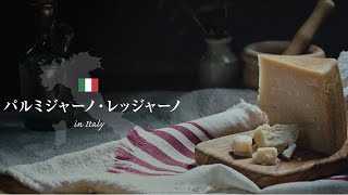 【世界のチーズ】イタリア パルミジャーノ・レッジャーノ