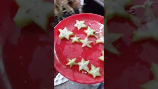 star 🌟 fruit  பழம் அது மிகவும் அரிதானது 😱😨 #fruits #starfruit #foodvlog #yotubevideo #shorts #food