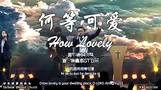 何等可爱 How Lovely