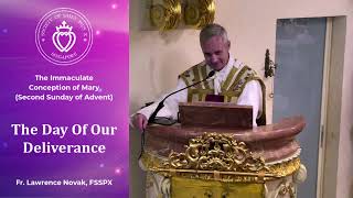 The Day of Our Deliverance - Sermon by Fr Novak (8 Dec 2024)