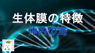 生体膜の特徴：流動性に優れた壁