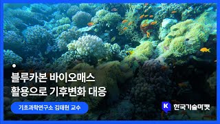 블루카본 바이오매스 활용 기술 개발로 기후변화 대응 및 탄소중립 실현 (인천대학교 기초과학연구소 김태현 교수)