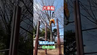 【大車輪】練馬区vol.4 石神井公園 #shorts #鉄棒