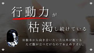 【10分解説】潜在意識のアクセル＆ブレーキ！行動力を引き出す4つの観点