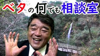 飼育の悩み一緒に解決しましょ♬【2021年12月3日】ベタの何でも相談室