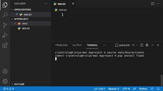 How to use Python Virtual env and Environment variables on Linux/macOS.
