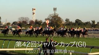 第４２回ジャパンカップ(GI) 白熱のゴール前 ダノンベルーガの川田騎手、立ち上がる