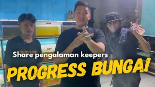 Tips PROGRESS BUNGA Channa maru with @toobil & @fajararief12_ #sharingkeepermaru