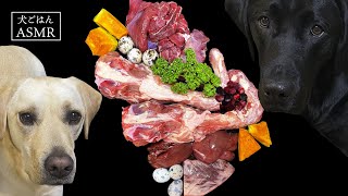 【ASMR  犬ごはん】生肉を朝ごはんに食べるラブラドールレトリバー/生肉/生骨/咀嚼音/Raw Feeding Dogs asmr