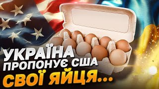 ДЕФІЦИТ, ЩО СПРИЧИНЯЄ БІЙКИ! В США КАТАСТРОФА З ЯЙЦЯМИ! УКРАЇНА ГОТОВА ДОПОМОГТИ