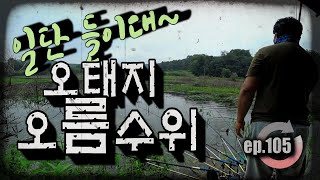 [ep.105] 급격한 오름수위의 오태지, 대물이 움직인다. (with 광광)