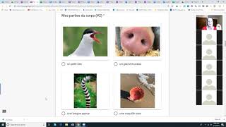 MadLibs for World Language Reading & Writing via Google Forms