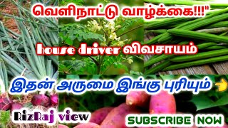 நம்ம ஊரு முருங்கைக்காய் \