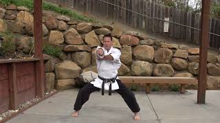 Naihanchi Shodan: Full kata with detail