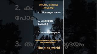 ഇത് പഠിപ്പിക്കും #instagram #whatsapp #facebook #trending ##trend