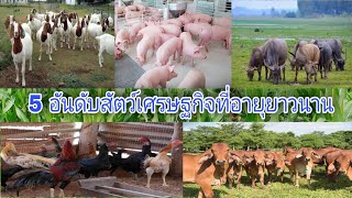 5 อันดับช่วงอายุตั้งแต่เกิดจนถึงอายุขัยของสัตว์เศรษฐกิจที่นิยมเลี้ยง #ลือชัยฟาร์มltf