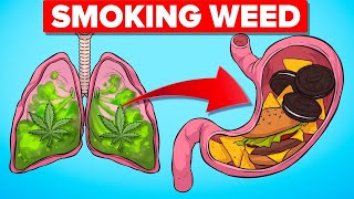 What Happens To Your Body When Smoking Weed And Other Crazy Heath Stories (Compilation)
