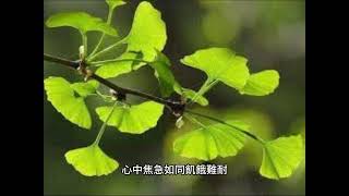 詩經10：國風·周南10《汝墳》