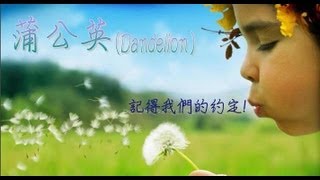 蒲公英的約定-Dandelion...........字幕MV