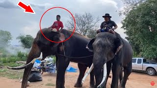 ช้างดังมาเยี่ยมบัวบาน แต่ใครขี่มาก!! Famous elephants visit Bua Ban [FADSIAM]