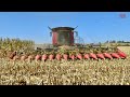 16 ROW CORN HEAD Combines Harvesting