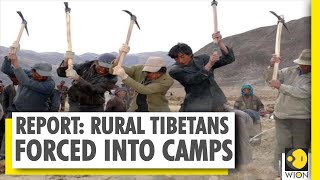 Tibet: China expands labour camps | Mandatory vocational training centres set up