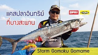 แคสอินทรีย์ใหญ่ที่บางสะพาน / ไล้ท์จิ๊กกิ้ง / Light Jigging \u0026 Casting Spanish Mackerel