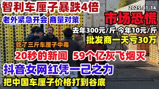 吃了三斤车厘子中毒事件！广东女网红一句话，中国车厘子价格暴跌4倍！水果批发商一天损失30万，20秒新闻59个亿灰飞烟灭，海运货柜堆满仓库卖不动了#车厘子暴跌#三斤姐车厘子事件#广东#中国#智利车厘子