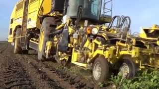 Kampania Buraczana 2015 ᴴᴰ Sugar Beet Harvest ROPA PANTHER John Deere 7810 Dar-Kop