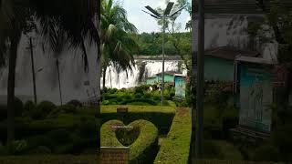 Thirparappu water Falls - Kanyakumari - Tamilnadu