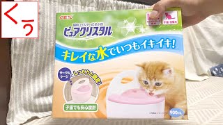 【第100話】ペット用循環式給水器『ピュアクリスタル（GEX）』のケージ設置用を実際に試してみた。が、無毛猫のスフィンクスは好奇心が旺盛すぎて遊んでしまう(/・ω・)/